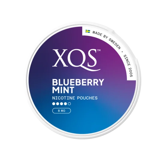 XQS Nicotine Pouches Blueberry Mint - 8MG -